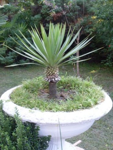 Письмо подруге: "Как я провела летние каникулы". Сочи