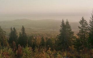 Потерявшиеся в тайге. Наша безопасность.