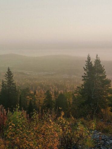 Потерявшиеся в тайге. Наша безопасность.