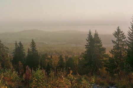 Потерявшиеся в тайге. Наша безопасность.