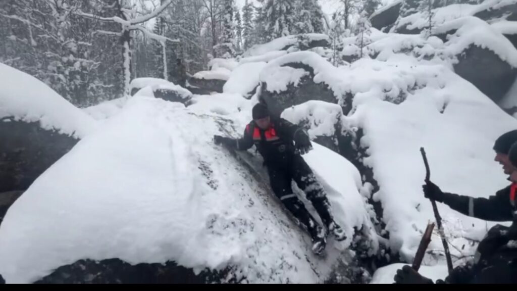 поиски по снегу