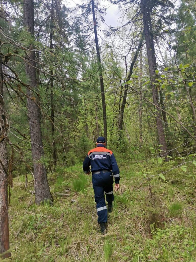 поиски в тайге